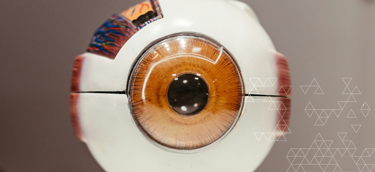 Treating AI Like Your Friend